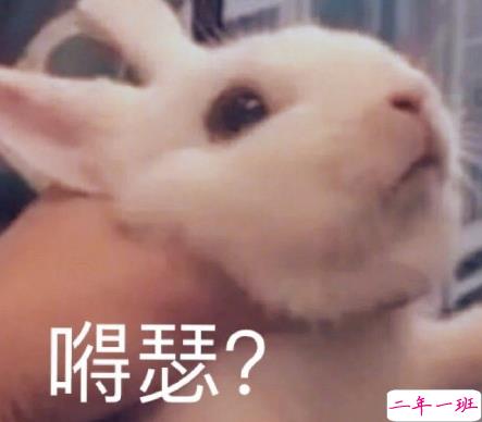 沙雕搞怪的朋友圈自拍文案 2021全新有趣的自拍文案带图片8