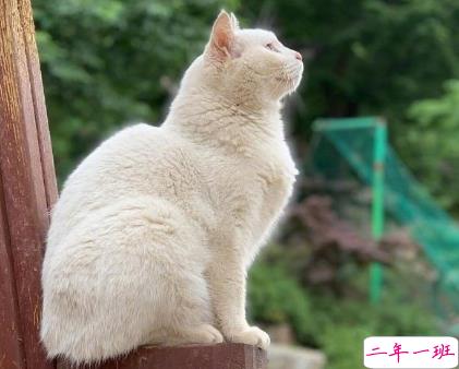 骂人不带脏字的高质量文案 沙雕搞笑的文案1