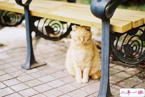 关于爱情的唯美句子情感真挚 甜甜蜜蜜的唯美句子2