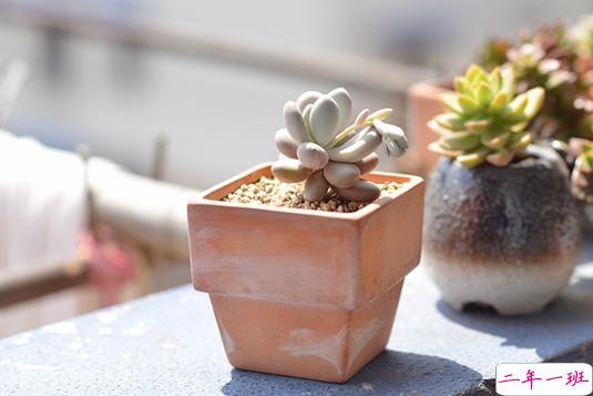 抖音比水还干净的句子唯美又文艺 遗憾的是从没被坚定的选择过1