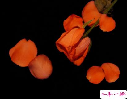 超级棒的朋友圈说说 很火很流行的个性短句1