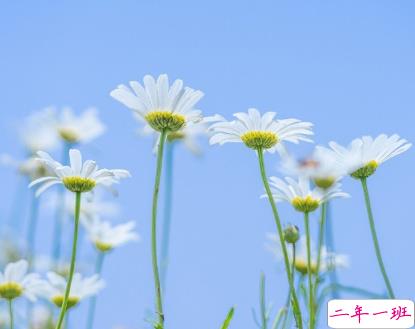 夏天心情说说文艺小短句 所有美好都发生在夏天1