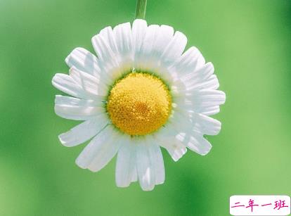 夏天心情说说文艺小短句 所有美好都发生在夏天2