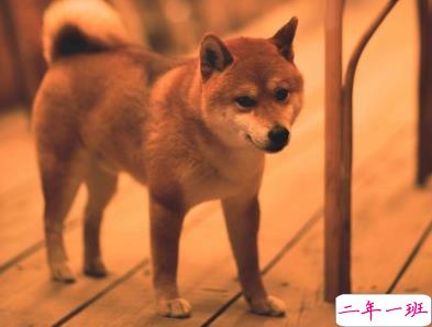 温柔的正能量晚安心语 抖音受欢迎的晚安句子2