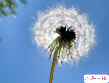 朋友圈心情说说简单舒服 顺其自然随遇而安1