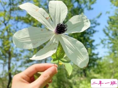 朋友圈心情说说简单舒服 顺其自然随遇而安2