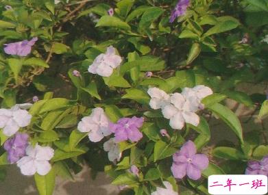 最新旅行时发朋友圈的句子 旅游说说简短有格调2