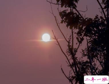 最新母亲节说说经典有趣 2020感恩母亲节句子简短2