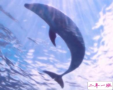 有仙气的干净气质句子 眉眼温柔日子自然也可爱1