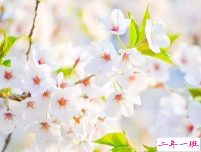 2020五月你好说说简短阳光 热爱生活的优美句子2