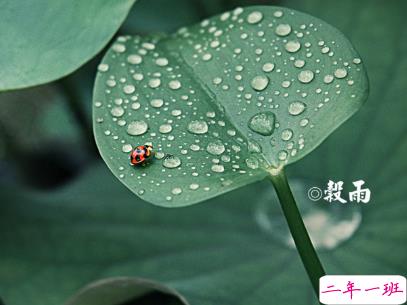 2020谷雨微信说说心情 谷雨节气来了说说一句话1