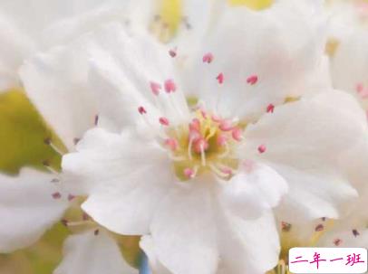 适合发朋友圈的歌词说说 抖音歌词说说最动人合集1