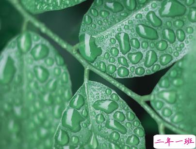 下雨天的心情说说忧伤心碎 内心一阵酸楚的短句2