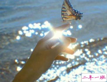 简短文艺心情说说 30条适合收藏的小短句1