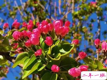 2020告别三月微信说说 全新四月你好心情说说2