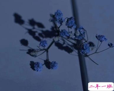 qq空间动态说说短句 一句话说说心情短语1