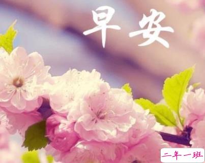 2020三月你好早安心语 三月朋友圈说说早安句子1