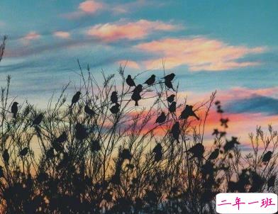 一句歌词形容近期的心情 呆在家的朋友圈心情说说1