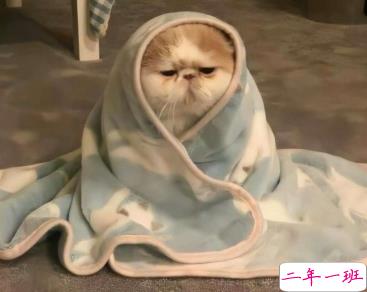 感冒发烧的心情说说 一个人发烧不舒服的说说发朋友圈1