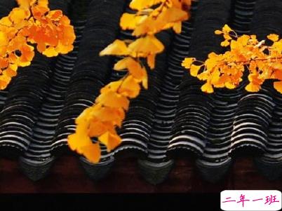 最温暖朋友的早安心语 2020阳光早安问候语1