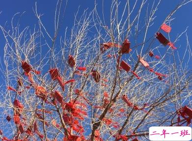 一秒入冬的说说简短搞笑 朋友圈天气寒冷的句子1