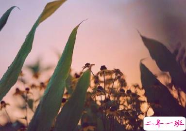 心情不好的说说伤感无奈 后来的我们没有走到一起1