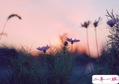 心情不好的说说伤感无奈 后来的我们没有走到一起2