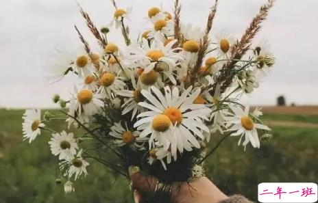 适合你所有情绪的心酸说说短句 心情不好丧丧的时候发的说说1