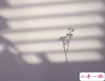 熬夜党专属的朋友圈说说 凌晨发的微信说说大全1