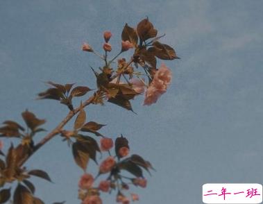 今天好冷的朋友圈说说 变天降温了的说说句子1