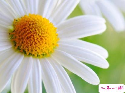 早上好的句子简短暖心 抖音最美早安问候语大全1