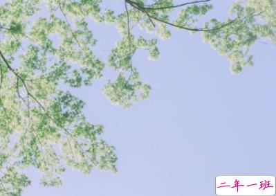 早安调皮句子正能量说说 新的开始正能量早安心语1