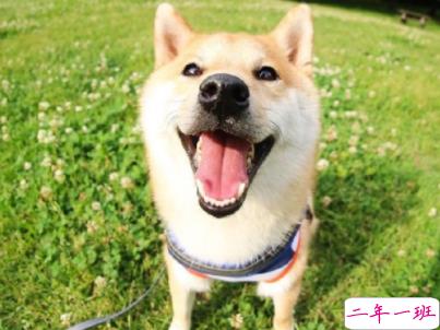 早安调皮句子正能量说说 新的开始正能量早安心语2