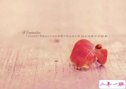 教师节手抄报内容文字 2019教师节写给老师的话1