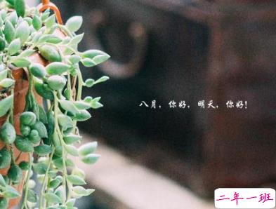 八月你好微博说说大全2019 八月来了发微博的好听说说2