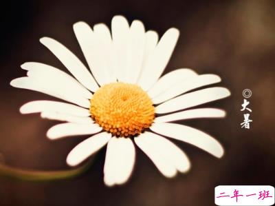 2019最新大暑节气说说大全 大暑微信朋友圈说说心情短语 1