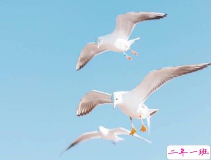 2019文艺小清新说说 女生会喜欢的清新简约说说1