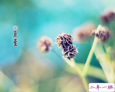 2019夏至说说发朋友圈 最新夏至说说精选1