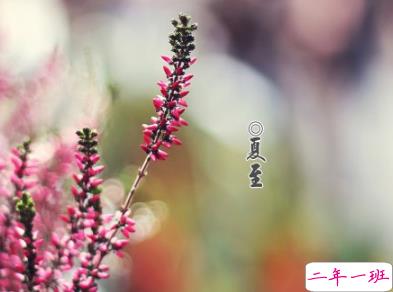 2019夏至早安心语说说大全 夏至快乐祝福语说说1