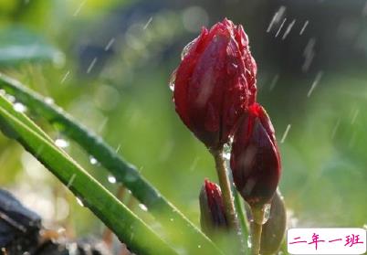 心情郁闷很烦躁的说说 极度不开心的微信说说2