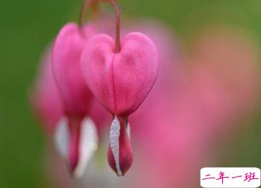 和男友吵架的伤心说说 心情糟糕很烦的说说大全1