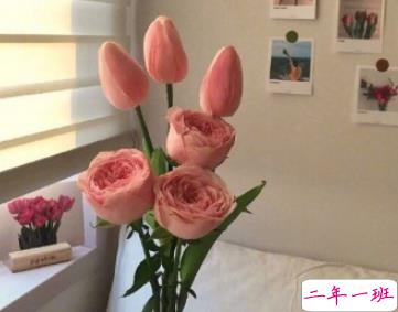 2019年520微信说说大全 5月20日00:00置顶的句子2