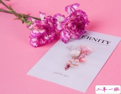 2019母亲节祝福语给妈妈和婆婆的 母亲节送康乃馨祝福语2