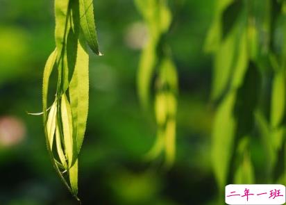 夏季天气好热的说说 2019天气炎热的微信说说1
