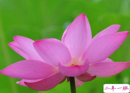 2019夏天到了说说心情短语 迎接夏天到的朋友圈说说1