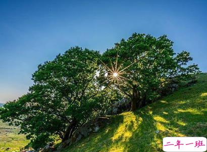 放假出去玩的说说心情美美的 今天很开心的一句话说说2