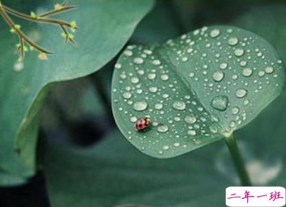 2019谷雨节气朋友圈早安心语 谷雨美好心情说说2