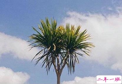 2019励志早安问候语 最新早安心语一句话1