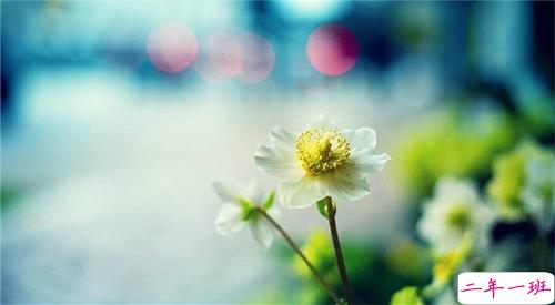 qq说说春天唯美小清新 春天的唯美短句子说说1