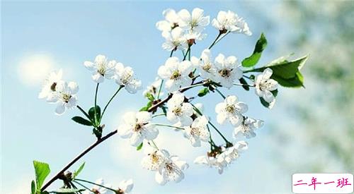 qq说说春天唯美小清新 春天的唯美短句子说说2